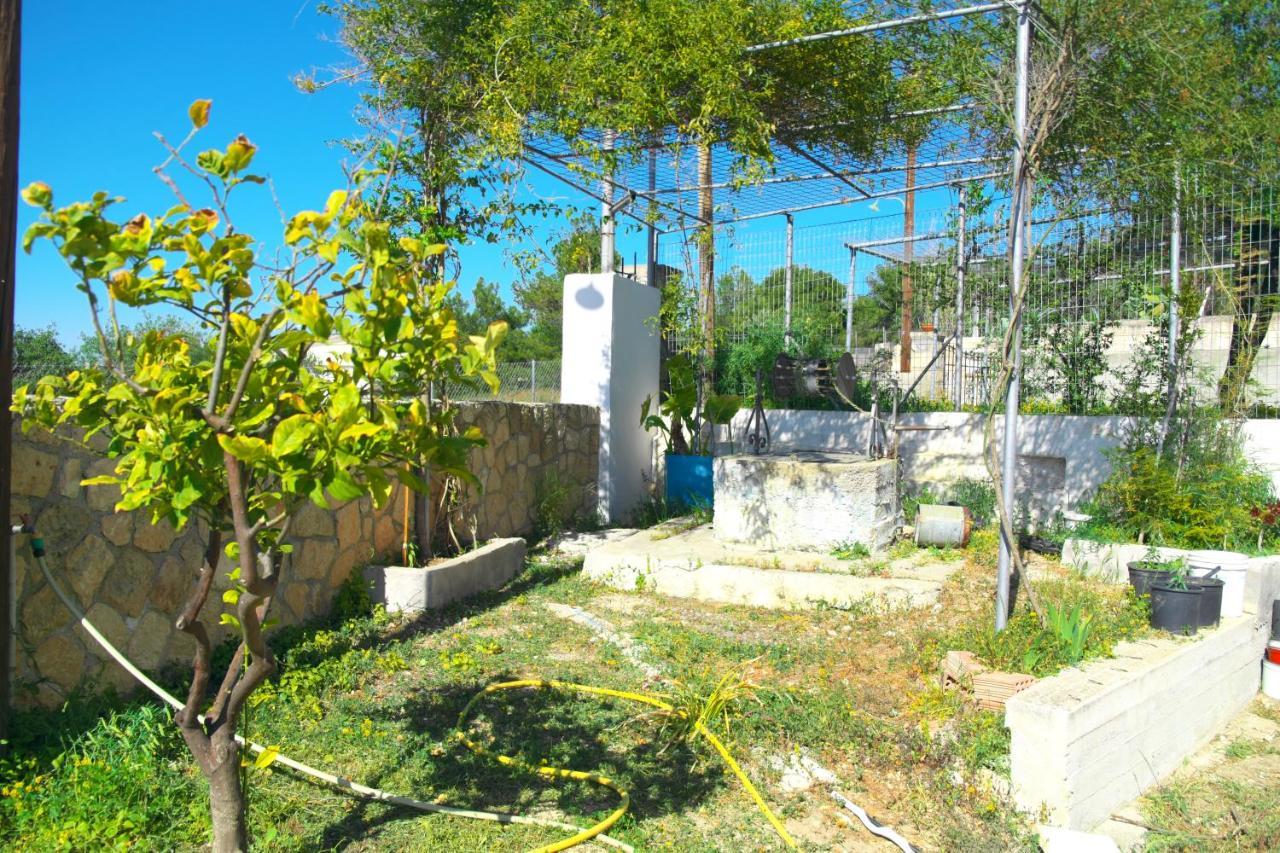 فيلا Georgia'S House Aegina المظهر الخارجي الصورة